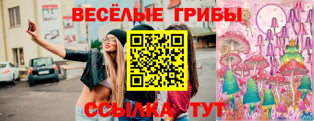 Галлюциногенные грибы ЛСД Артёмовский