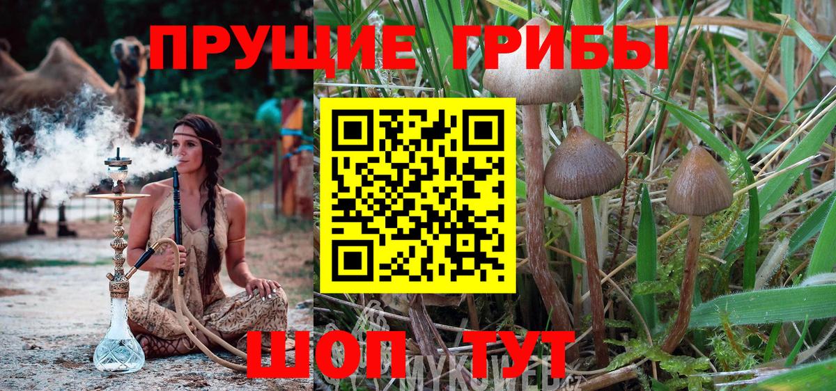 Артёмовский  Галлюциногенные грибы Cubensis  купить наркотики цена  Вход с VPN 